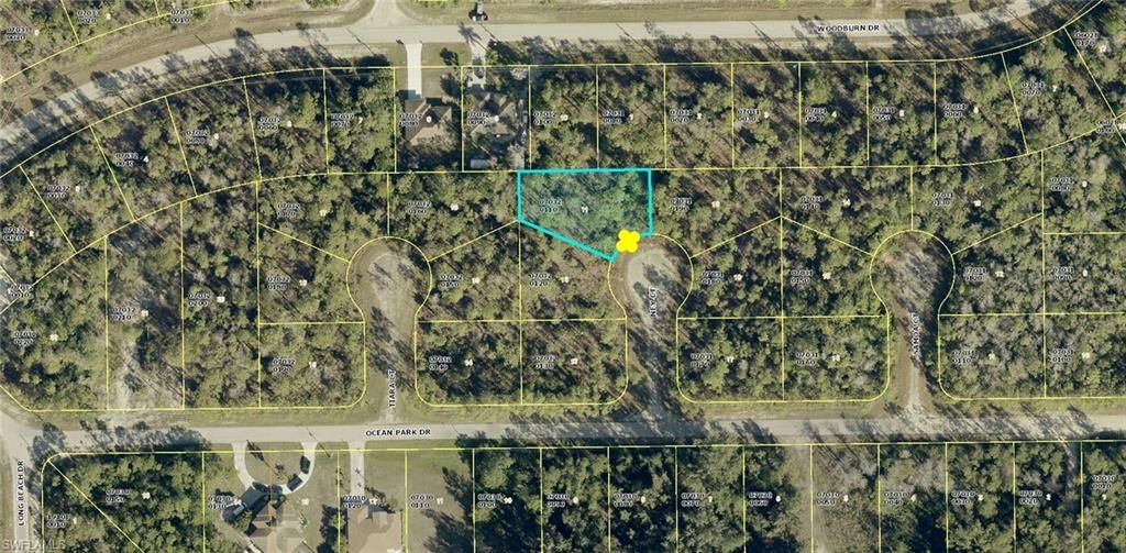 1905 Ney CT, LEHIGH ACRES, FL 33972 — exterior