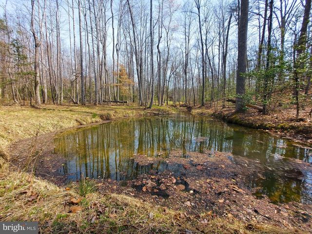 28100 TATUM RD, Unionville, VA 22567