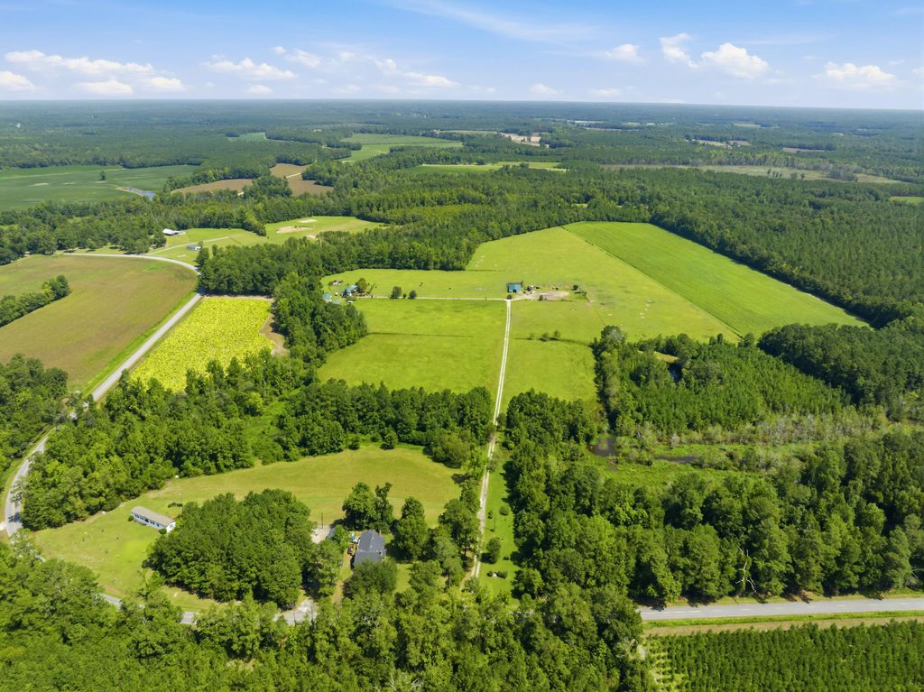 6400 Black Creek Rd., Nichols, SC 29581 — photo 2