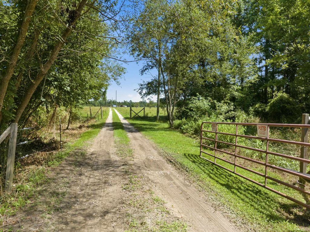 6400 Black Creek Rd., Nichols, SC 29581 — photo 5