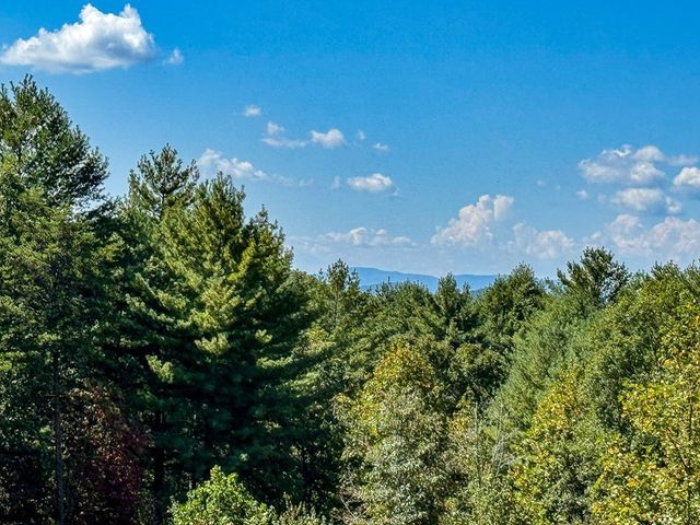 10007 Joe Brown Highway, Murphy, NC 28906