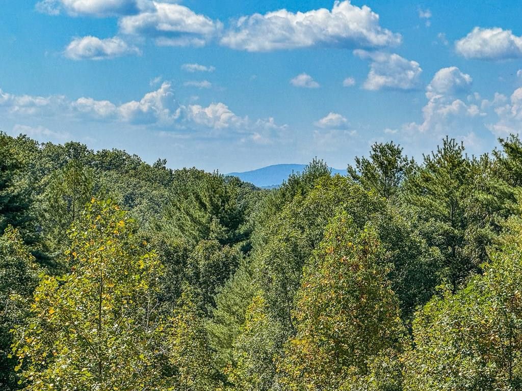 10007 Joe Brown Highway, Murphy, NC 28906