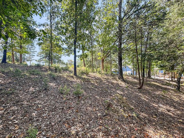 Lots 9 & 10 Corley Loop, Eureka Springs, AR 72632