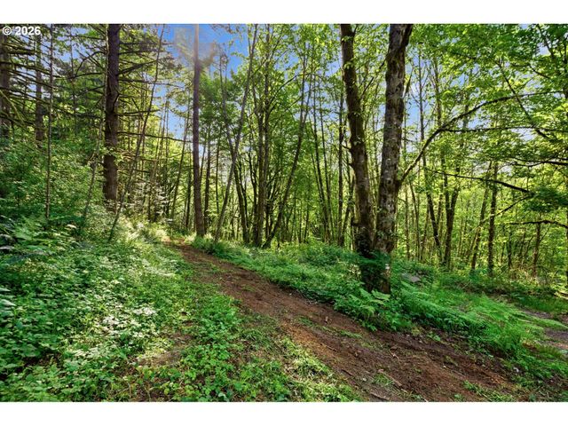 36806 Ne HOLLING Ave, La Center, WA 98629