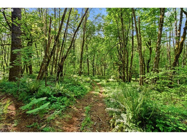 36806 Ne HOLLING Ave, La Center, WA 98629