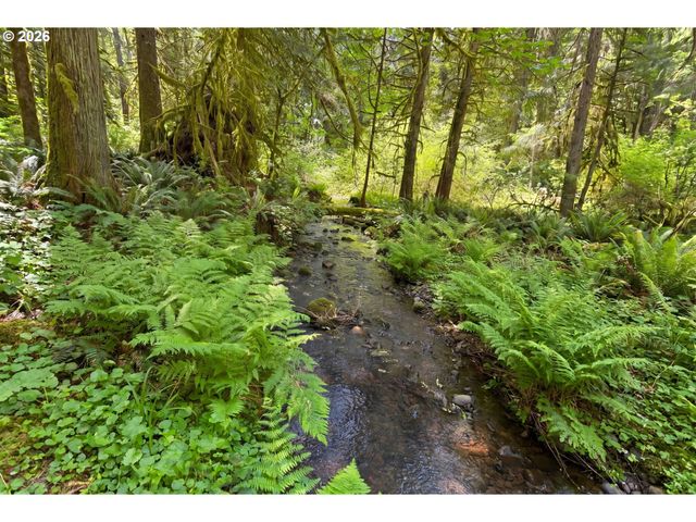 36806 Ne HOLLING Ave, La Center, WA 98629