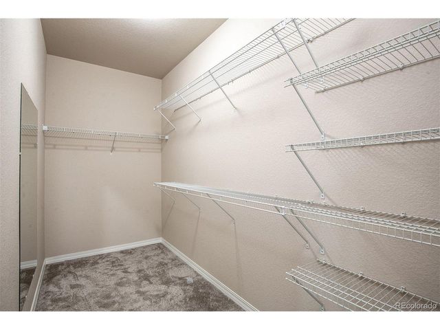 8480 Dry Needle Pl, Colorado Springs, CO 80908