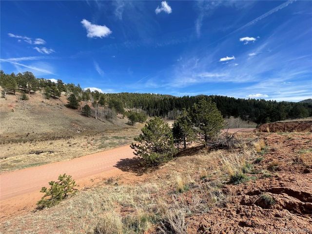 323 Gold King Dr, Cripple Creek, CO 80813