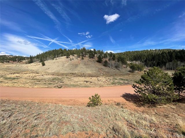 323 Gold King Dr, Cripple Creek, CO 80813