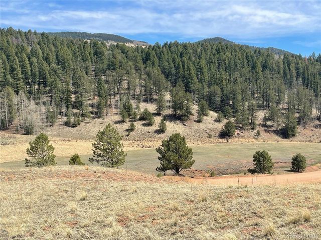 323 Gold King Dr, Cripple Creek, CO 80813