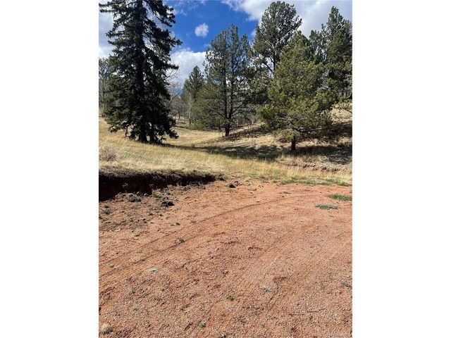 323 Gold King Dr, Cripple Creek, CO 80813