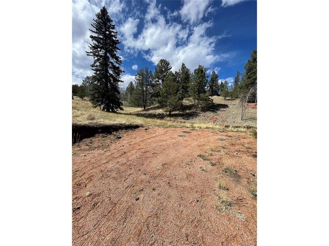 323 Gold King Dr, Cripple Creek, CO 80813