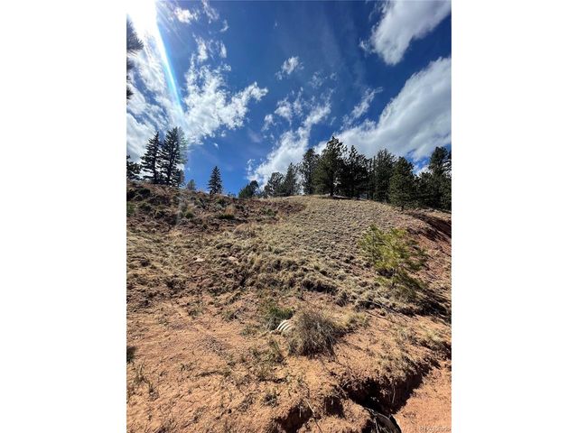 323 Gold King Dr, Cripple Creek, CO 80813