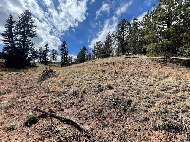 323 Gold King Dr, Cripple Creek, CO 80813