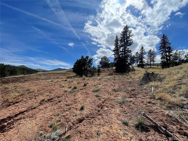323 Gold King Dr, Cripple Creek, CO 80813