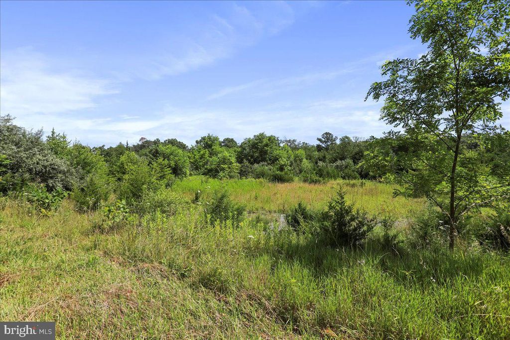 0 MESSICK ROAD, Strasburg, VA 22657