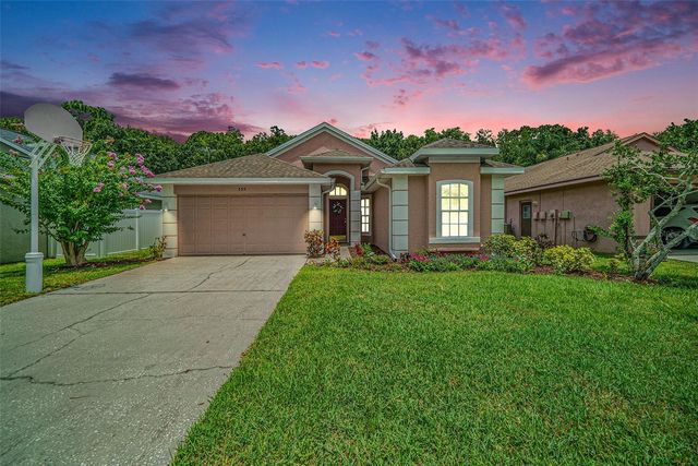 333 TAVERNIER DRIVE, Oldsmar, FL 34677