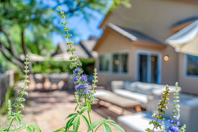 4056 E Vía Del Buho, Tucson, AZ 85718