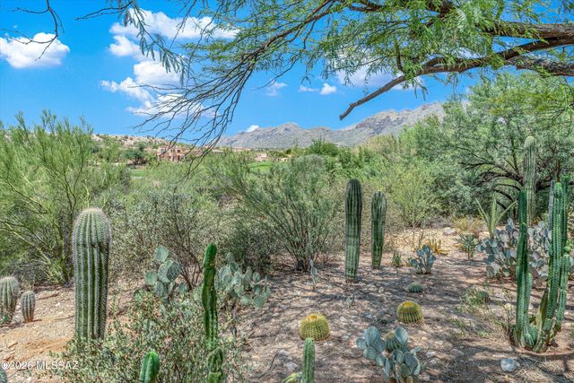 4056 E Vía Del Buho, Tucson, AZ 85718