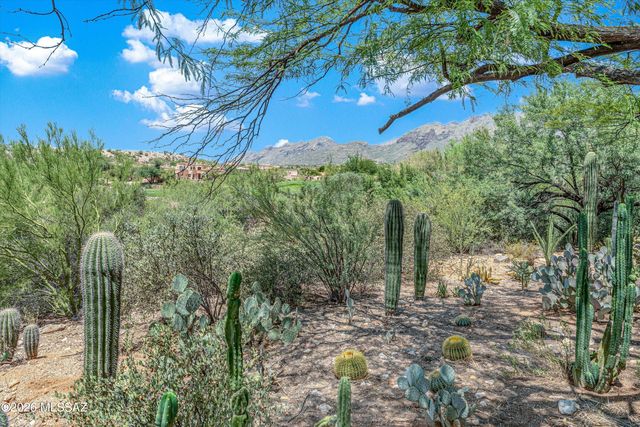 4056 E Vía Del Buho, Tucson, AZ 85718