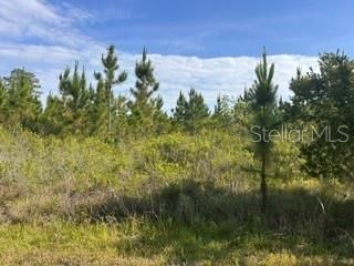 118 (BLK 356 LOT 9) TROPICANA DRIVE, Indian Lake Estates, FL 33855