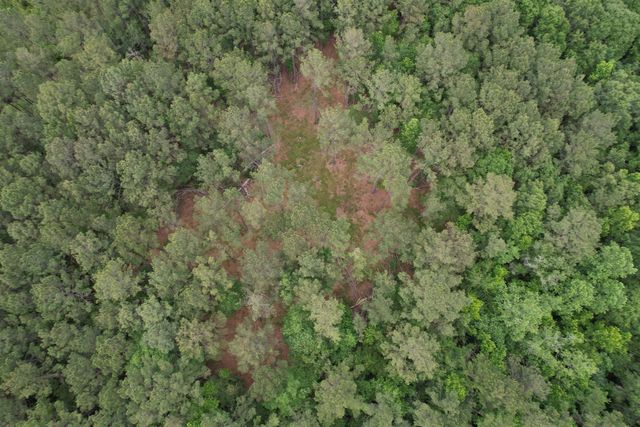 17.8 Acres-5871 Pennyroyal Rd., Georgetown, SC 29440