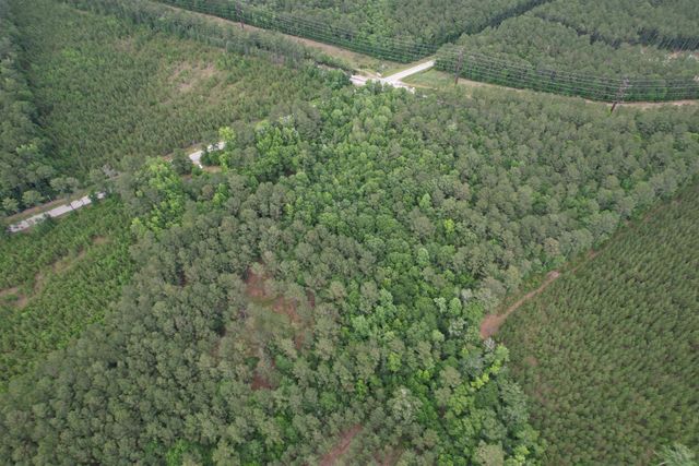 17.8 Acres-5871 Pennyroyal Rd., Georgetown, SC 29440