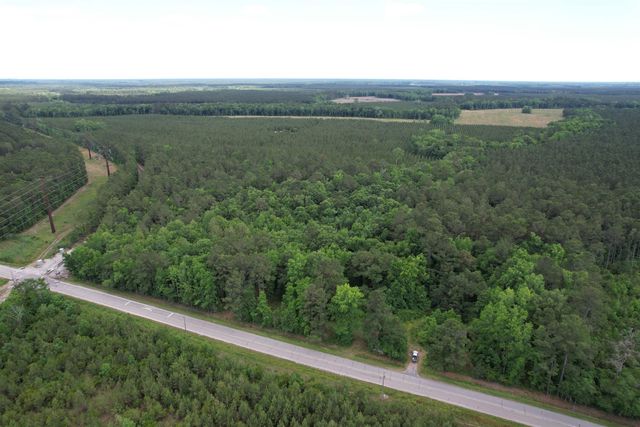 17.8 Acres-5871 Pennyroyal Rd., Georgetown, SC 29440
