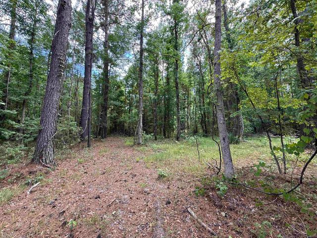 17.8 Acres-5871 Pennyroyal Rd., Georgetown, SC 29440