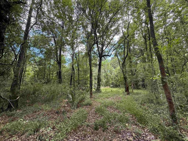 17.8 Acres-5871 Pennyroyal Rd., Georgetown, SC 29440