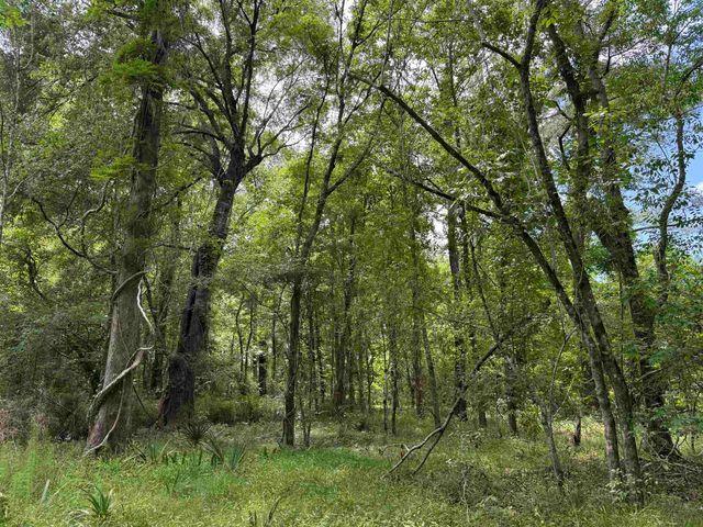17.8 Acres-5871 Pennyroyal Rd., Georgetown, SC 29440