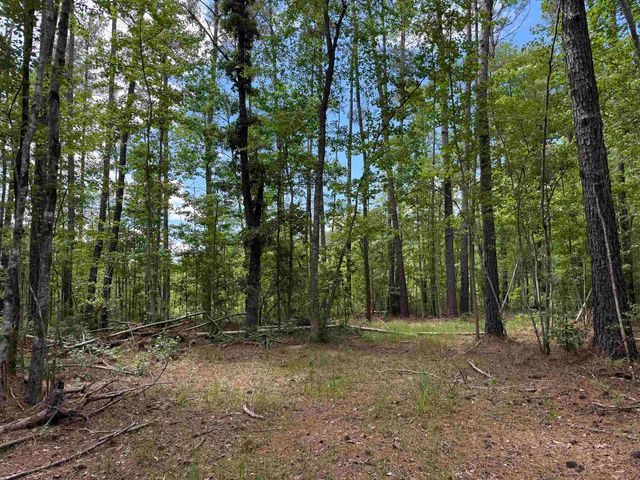 17.8 Acres-5871 Pennyroyal Rd., Georgetown, SC 29440