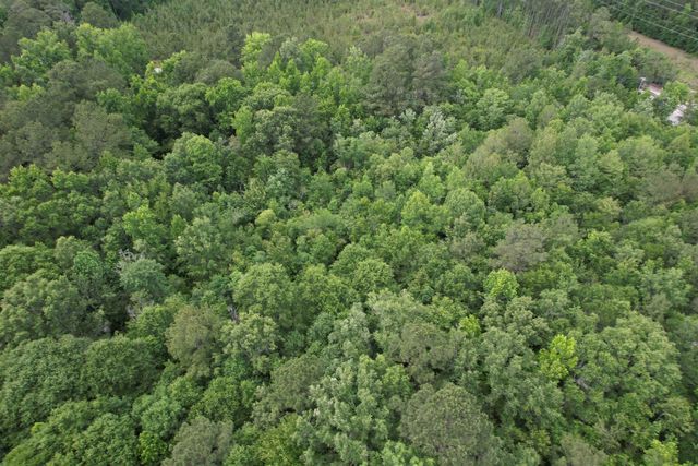 17.8 Acres-5871 Pennyroyal Rd., Georgetown, SC 29440