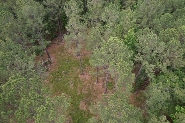 17.8 Acres-5871 Pennyroyal Rd., Georgetown, SC 29440