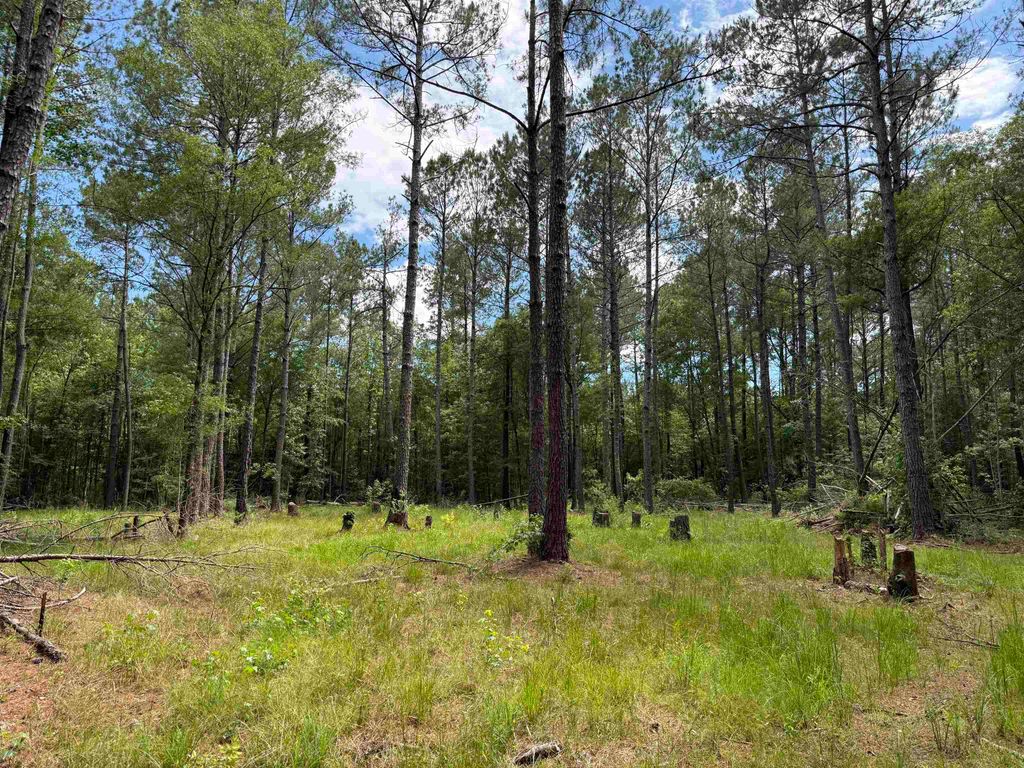 17.8 Acres-5871 Pennyroyal Rd., Georgetown, SC 29440