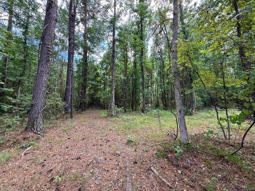 17.8 Acres-5871 Pennyroyal Rd., Georgetown, SC 29440 — photo 2