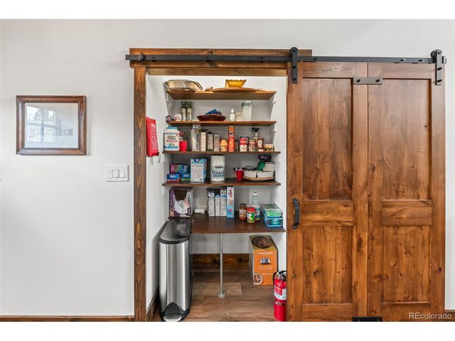 31 Buzzsaw Ln, Fairplay, CO 80440