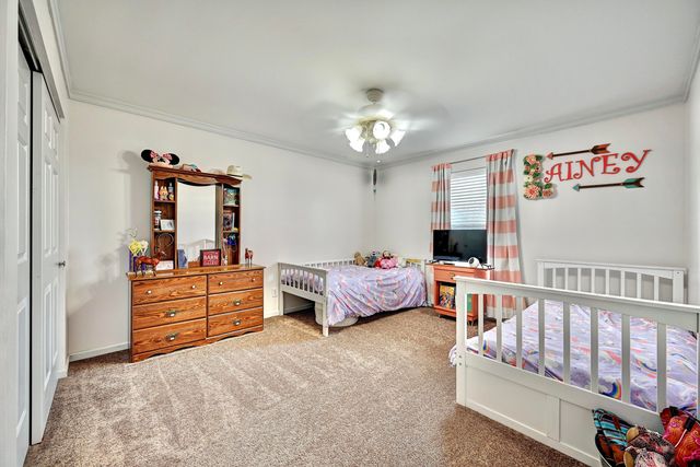 209 Clay Ridge Road, Alexandria, KY 41001