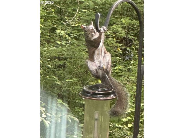 7535 Nw QUINAULT St, Camas, WA 98607