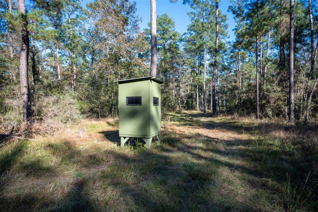 00 Farm To Market 1745, Chester, TX 75936