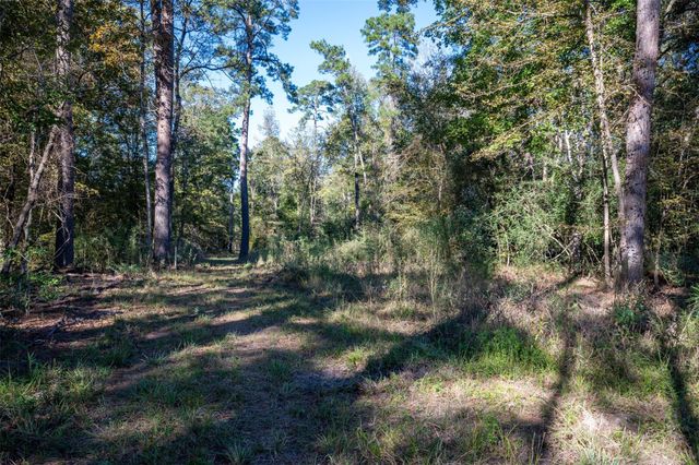 00 Farm To Market 1745, Chester, TX 75936