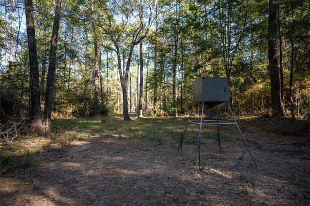 00 Farm To Market 1745, Chester, TX 75936