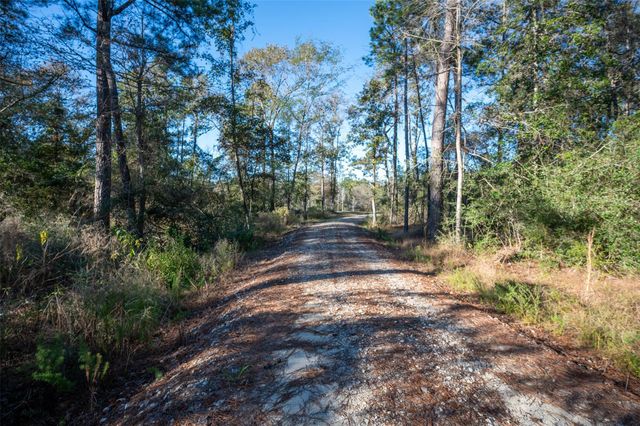 00 Farm To Market 1745, Chester, TX 75936