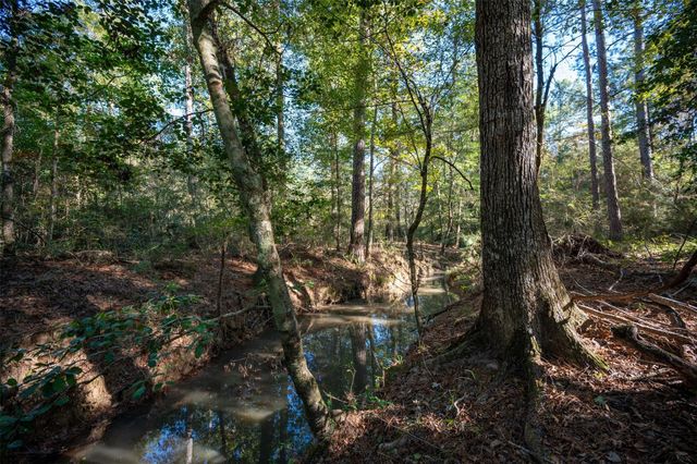 00 Farm To Market 1745, Chester, TX 75936