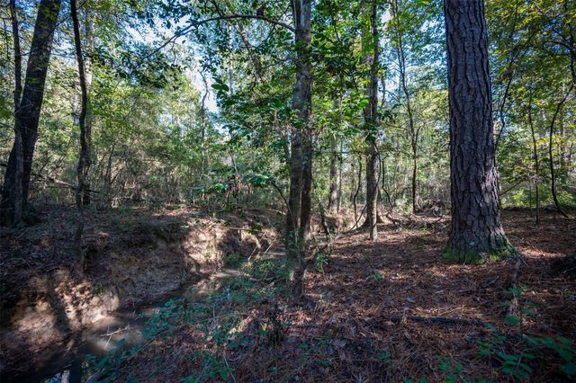 00 Farm To Market 1745, Chester, TX 75936