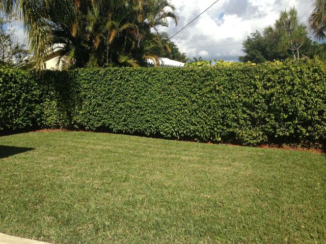 2098 NE 4th Court, Boca Raton, FL 33431