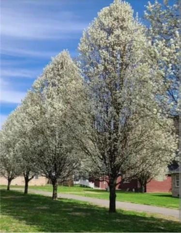 118 Maroney Lane, Shrewsbury, WV 25015