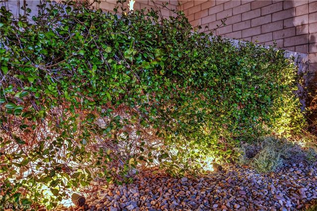 12242 Nasino Avenue, Las Vegas, NV 89138