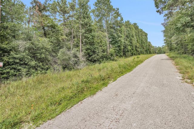 Lot 21 E Double Creek Road, Willis, TX 77378