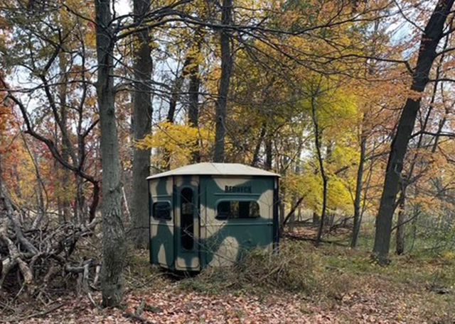 14217 Packard Street NE, Ham Lake, MN 55304